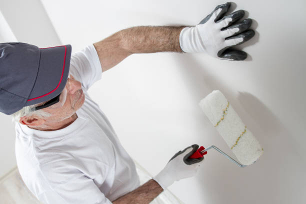 Best Mold Odor Removal Services  in Sullivan Gardens, TN
