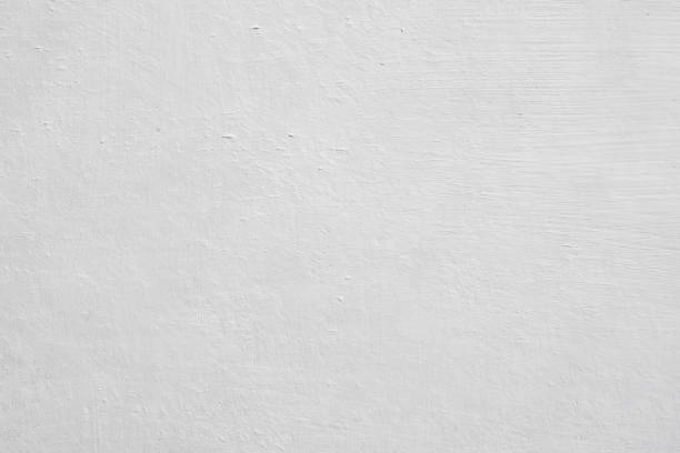 Reliable Sullivan Gardens, TN Mold Removal Solutions