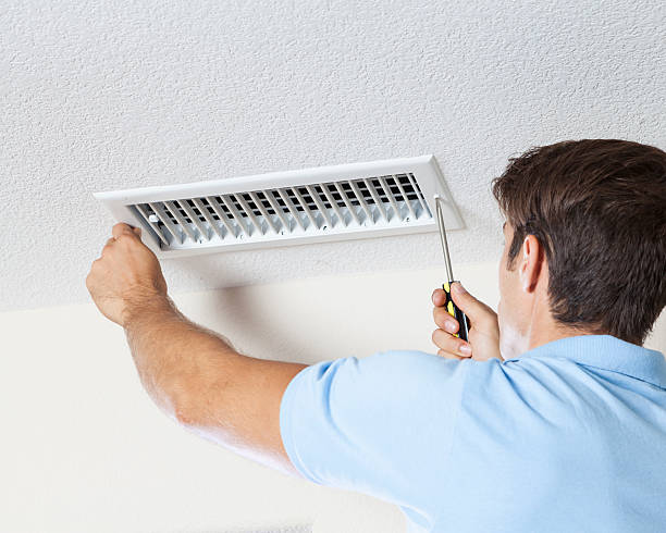 Best Water Damage & Mold Remediation  in Sullivan Gardens, TN