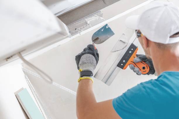 Best Black Mold Removal  in Sullivan Gardens, TN